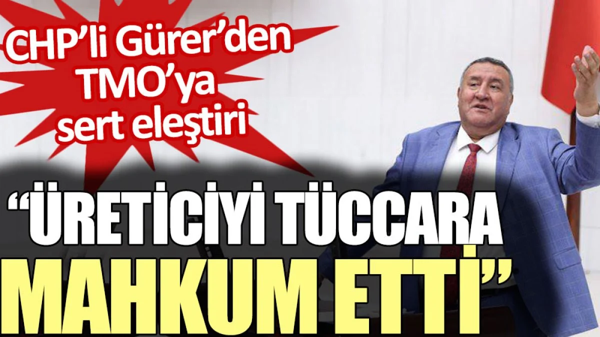 CHP’li Gürer TMO’yu eleştirdi: Üreticiyi tüccara mahkum etti
